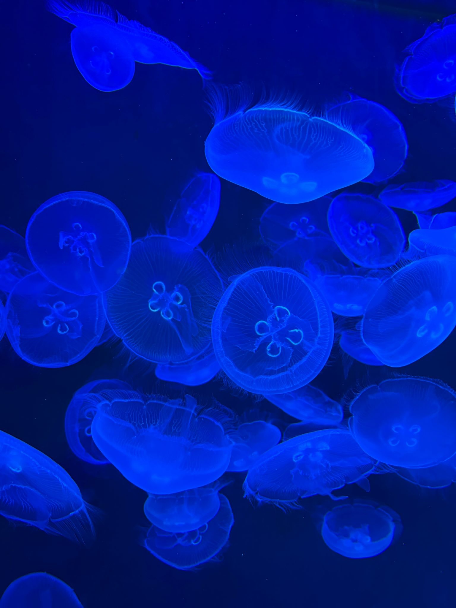 Clear insights emerging from complexity - factor168.ai market research